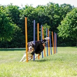 TRIXIE Dog Activity Agility Slalom -Beeztees Verkoop 2024 3206 H 2