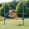 TRIXIE Dog Activity Agility Horde 1 TRIXIE Dog Activity Agility Horde -Beeztees Verkoop 2024 3207 1