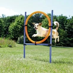 TRIXIE Dog Activity Agility Ring -Beeztees Verkoop 2024 3208 H