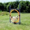 TRIXIE Dog Activity Agility Ring 2 TRIXIE Dog Activity Agility Ring -Beeztees Verkoop 2024 3208 H 2