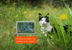 Weenect Cats 2 GPS Tracker -Beeztees Verkoop 2024 37700003001096