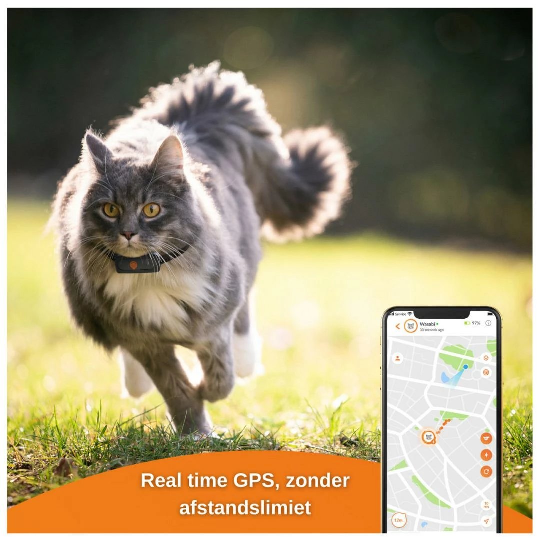 Weenect XS GPS Tracker Cats Black 5 Weenect XS GPS Tracker Cats Black - Afbeelding 3