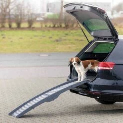 TRIXIE Loopplank Drievoudig Inklapbaar -Beeztees Verkoop 2024 39476 3