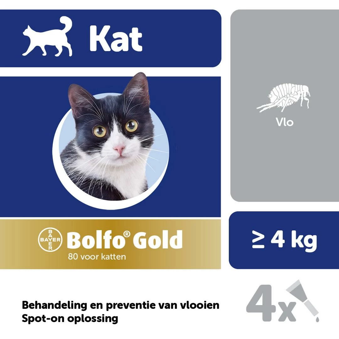 Bolfo Gold 80 Kat 4 Pipetten 4 Bolfo Gold 80 Kat 4 Pipetten - Afbeelding 2