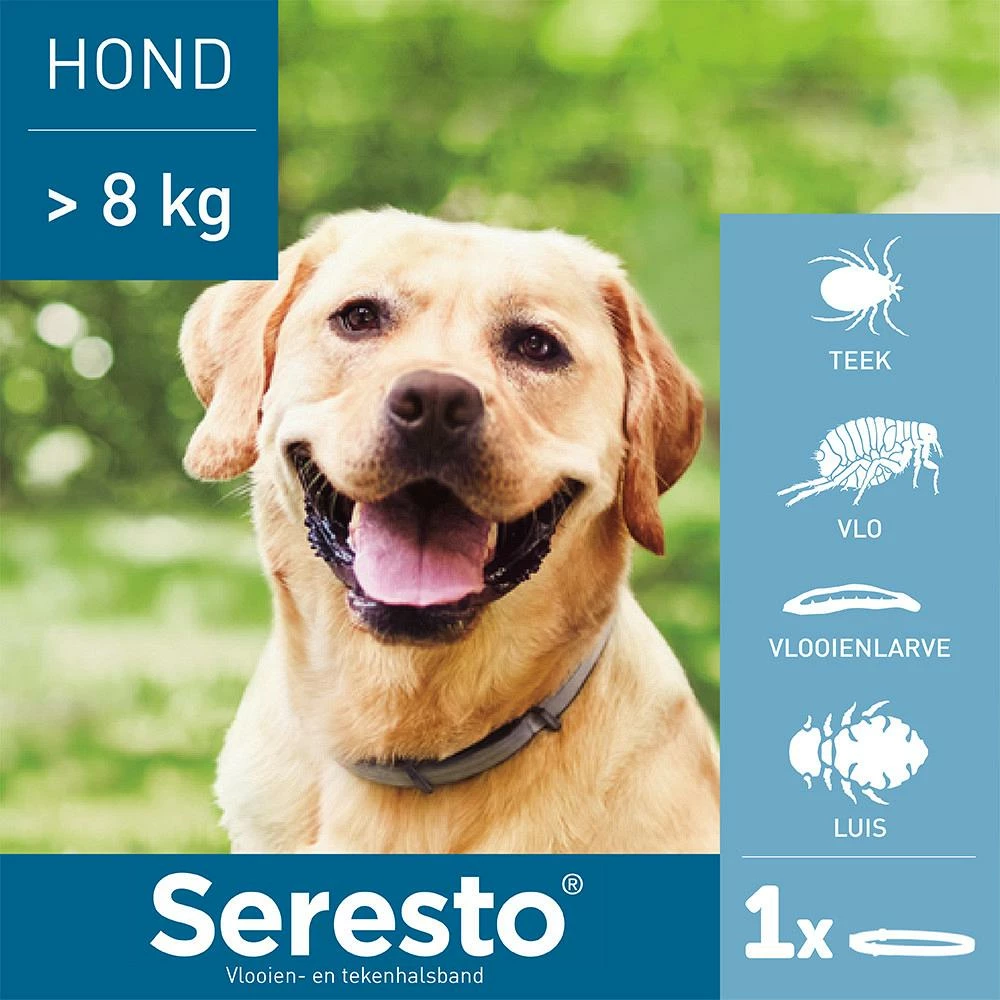 Seresto Band Voor Grote Honden 4 Seresto Band Voor Grote Honden - Afbeelding 2