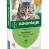 Advantage Kat 40 4 Pipetten -Beeztees Verkoop 2024 4007221047407