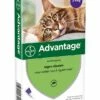 Advantage Kat 80 4 Pipetten 1 Advantage Kat 80 4 Pipetten -Beeztees Verkoop 2024 4007221047421