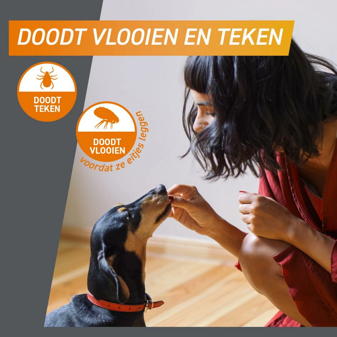 FRONTPRO Kauwtabletten Hond L 3 St 4 FRONTPRO Kauwtabletten Hond L 3 St - Afbeelding 2