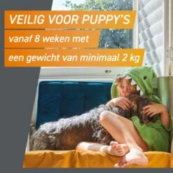 FRONTPRO Kauwtabletten Hond S 3 St -Beeztees Verkoop 2024 4064951004247 8