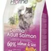 Profine Kattenvoer Derma Adult Salmon 2 Kg -Beeztees Verkoop 2024 420205 Profine Cat derma adult salmon 2kg