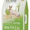 Profine Kattenvoer Indoor Adult Lamb 10 Kg 1 Profine Kattenvoer Indoor Adult Lamb 10 Kg -Beeztees Verkoop 2024 421004 Profine Cat indoor adult lamb 10kg