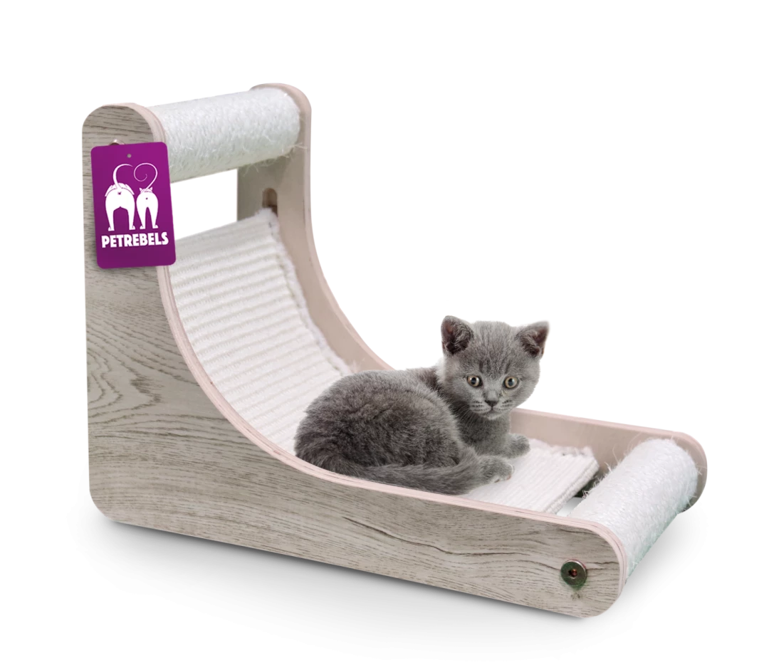 Petrebels Krabpaal Little Rebels Nashville 40 Cream 4 Petrebels Krabpaal Little Rebels Nashville 40 Cream - Afbeelding 2