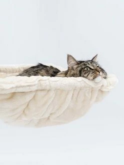 Petrebels Krabmeubel Lucky Bastards Parklane 131 Cream 8 Petrebels Krabmeubel Lucky Bastards Parklane 131 Cream -Beeztees Verkoop 2024 431357 Parklane 131 7