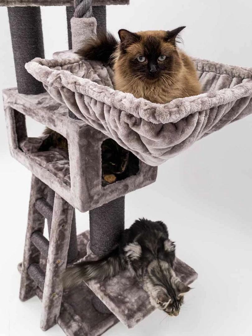 Petrebels Krabmeubel Lucky Bastards Parklane 175 Capp. 4 Petrebels Krabmeubel Lucky Bastards Parklane 175 Capp. - Afbeelding 2