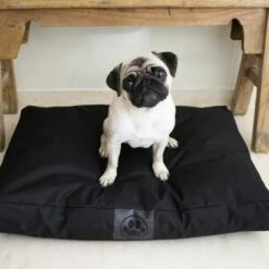 Overseas Petlife Hondenkussen All Weather Black 6 Overseas Petlife Hondenkussen All Weather Black -Beeztees Verkoop 2024 43254.557510.01 05