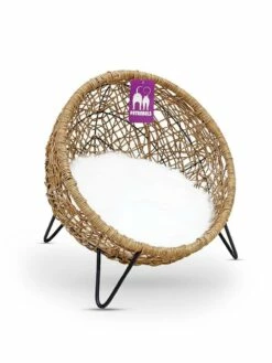 Petrebels Kattenmand House Of Heaven Amsterdam 47 Sand