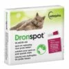 Dronspot Spot-on Ontwormingspipet Kat 5 - 8 Kg -Beeztees Verkoop 2024 5.4.1.2.2 3.1.2.2 Dronspot Large Cat