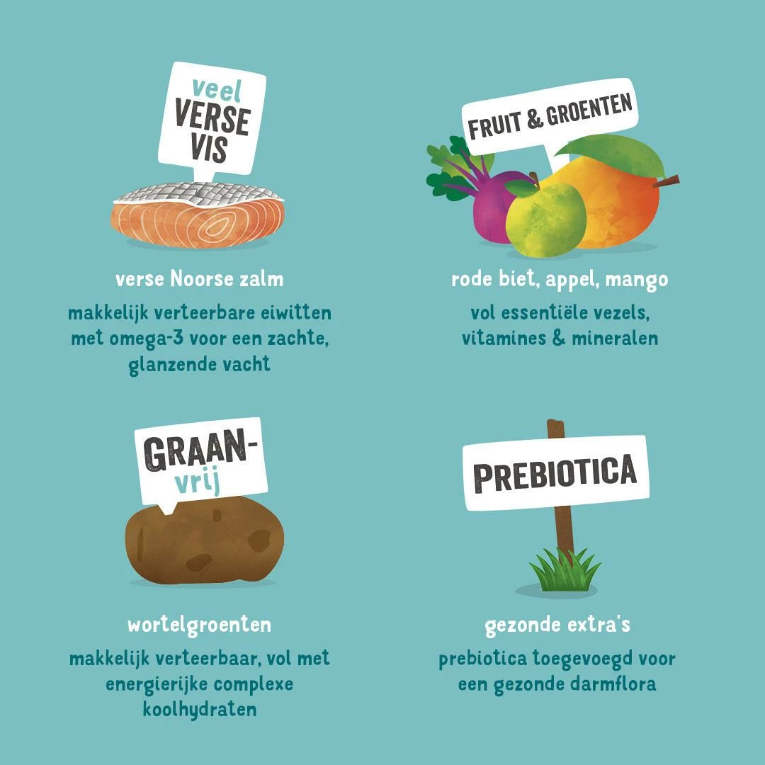 Edgard & Cooper Hondenvoer Adult Noorse Zalm 7 Kg 5 Edgard & Cooper Hondenvoer Adult Noorse Zalm 7 Kg - Afbeelding 3