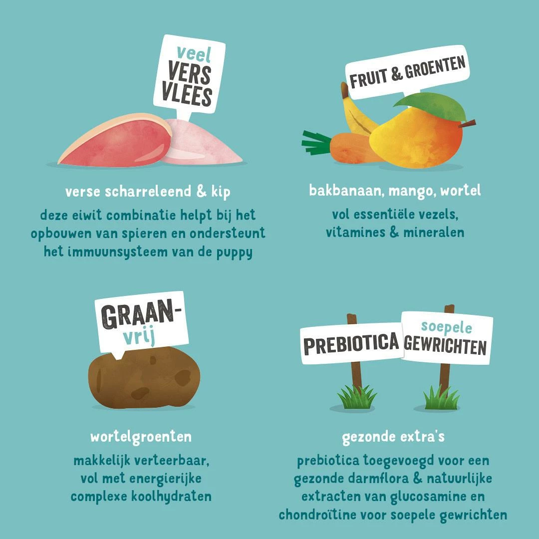 Edgard & Cooper Hondenvoer Puppy Eend En -kip 7 Kg 5 Edgard & Cooper Hondenvoer Puppy Eend En -kip 7 Kg - Afbeelding 3