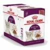 Royal Canin Kattenvoer Sensory Feel In Gravy 12 X 85 Gr -Beeztees Verkoop 2024 578529
