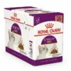 Royal Canin Kattenvoer Sensory Smell In Gravy 12 X 85 Gr 1 Royal Canin Kattenvoer Sensory Smell In Gravy 12 X 85 Gr -Beeztees Verkoop 2024 578816