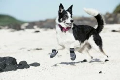 Hurtta Outback Boots Black -Beeztees Verkoop 2024 6410329321191 tm 44 b