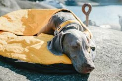 Hurtta Slaapzak Outback Dreamer Orange/silver -Beeztees Verkoop 2024 6410329327100 38 39 met hond 1