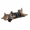 Thundershirt Kat 1 Thundershirt Kat -Beeztees Verkoop 2024 854880001608 thundershirt kat