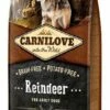 Carnilove Hondenvoer Reindeer Adult 12 Kg 2 Carnilove Hondenvoer Reindeer Adult 12 Kg -Beeztees Verkoop 2024 8595602508884