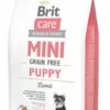 Brit Care Mini Grain Free Puppy Lamb 2 Kg 1 Brit Care Mini Grain Free Puppy Lamb 2 Kg -Beeztees Verkoop 2024 8595602520138