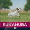 Eukanuba Hondenvoer Active Adult Small Breed 12 Kg -Beeztees Verkoop 2024 8710255119946