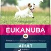Eukanuba Hondenvoer Active Adult Small Breed 3 Kg -Beeztees Verkoop 2024 8710255120072