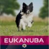 Eukanuba Hondenvoer Senior Small Medium Lamb & Rice 12 Kg -Beeztees Verkoop 2024 8710255121390 0