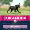 Eukanuba Hondenvoer Growing Puppy Large Breed 3 Kg -Beeztees Verkoop 2024 8710255122465