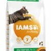 IAMS Kattenvoer Adult Lamb 3 Kg 1 IAMS Kattenvoer Adult Lamb 3 Kg -Beeztees Verkoop 2024 8710255127002 2