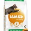 IAMS Kattenvoer Adult Ocean Fish 3 Kg -Beeztees Verkoop 2024 8710255127040 2