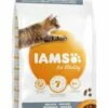 IAMS Kattenvoer Adult Indoor Chicken 3 Kg -Beeztees Verkoop 2024 8710255150444 2