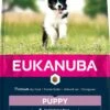 Eukanuba Hondenvoer Puppy Small/Medium Lamb & Rice 2,5 Kg 2 Eukanuba Hondenvoer Puppy Small/Medium Lamb & Rice 2,5 Kg -Beeztees Verkoop 2024 8710255168746