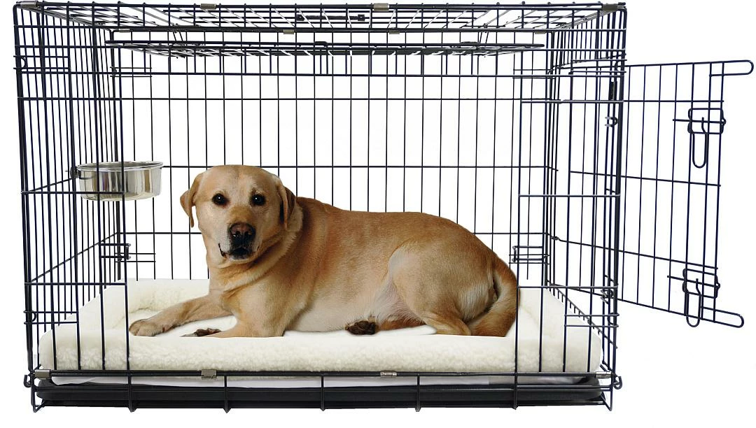 Boon Premium Hondenbench Met Deur En Schuifdeur Zwart 4 Boon Premium Hondenbench Met Deur En Schuifdeur Zwart - Afbeelding 2