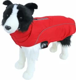 Boony Hondenjas Luxury Waterproof Rood -Beeztees Verkoop 2024 8712901080648 met hond