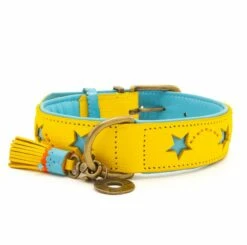 Dog With A Mission Halsband Blue Star -Beeztees Verkoop 2024 8720195177760 2