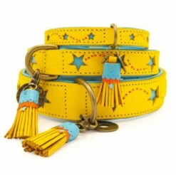 Dog With A Mission Halsband Blue Star