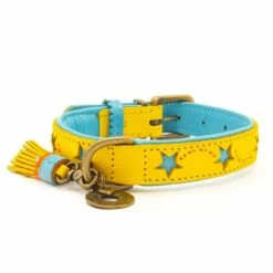 Dog With A Mission Halsband Blue Star -Beeztees Verkoop 2024 8720195177760 3