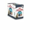 Royal Canin Kattenvoer Urinary Care In Gravy 12 X 85 Gr 2 Royal Canin Kattenvoer Urinary Care In Gravy 12 X 85 Gr -Beeztees Verkoop 2024 9003579000359