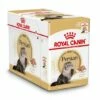 Royal Canin Kattenvoer Persian Adult 12 X 85 Gr