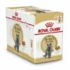 Royal Canin Kattenvoer British Shorthair Adult 12 X 85 Gr
