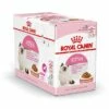 Royal Canin Kattenvoer Kitten In Gravy 12 X 85 Gr