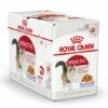 Royal Canin Kattenvoer Instinctive In Jelly 12 X 85 Gr -Beeztees Verkoop 2024 9003579309544