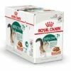 Royal Canin Kattenvoer Instinctive 7+ In Gravy 12 X 85 Gr -Beeztees Verkoop 2024 9003579310182