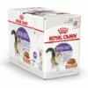 Royal Canin Kattenvoer Sterilised In Gravy 12 X 85 Gr -Beeztees Verkoop 2024 9003579311295